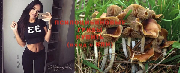 винт Киренск