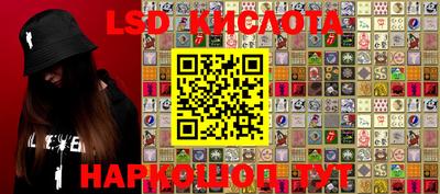 шишки Аргун