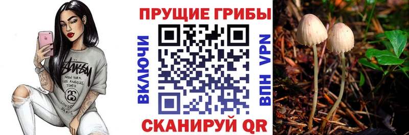 Галлюциногенные грибы Cubensis  наркотики  Балаково 