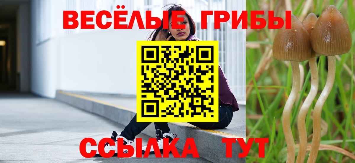 Галлюциногенные грибы ЛСД  Вход с VPN  Балаково 
