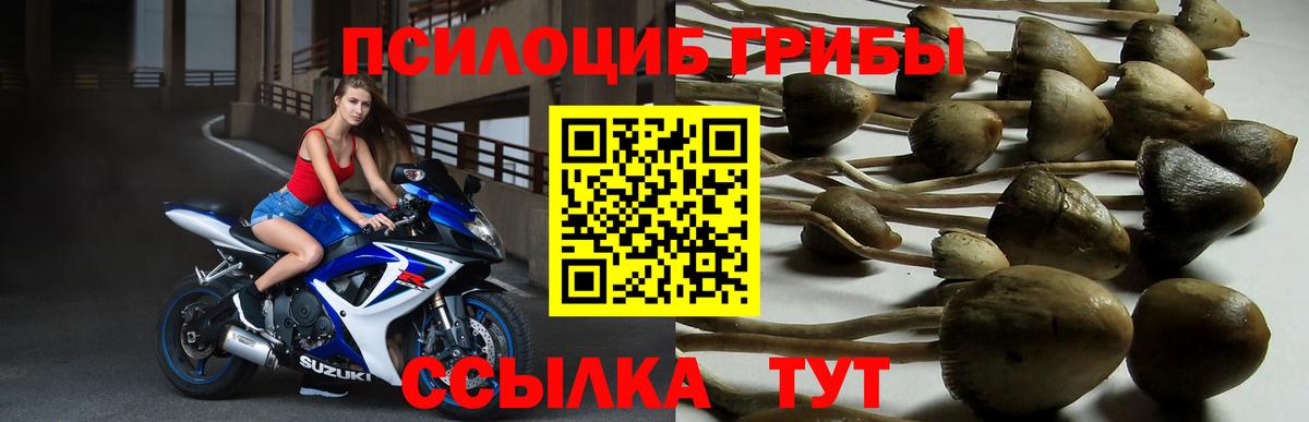 Марихуана Балаково